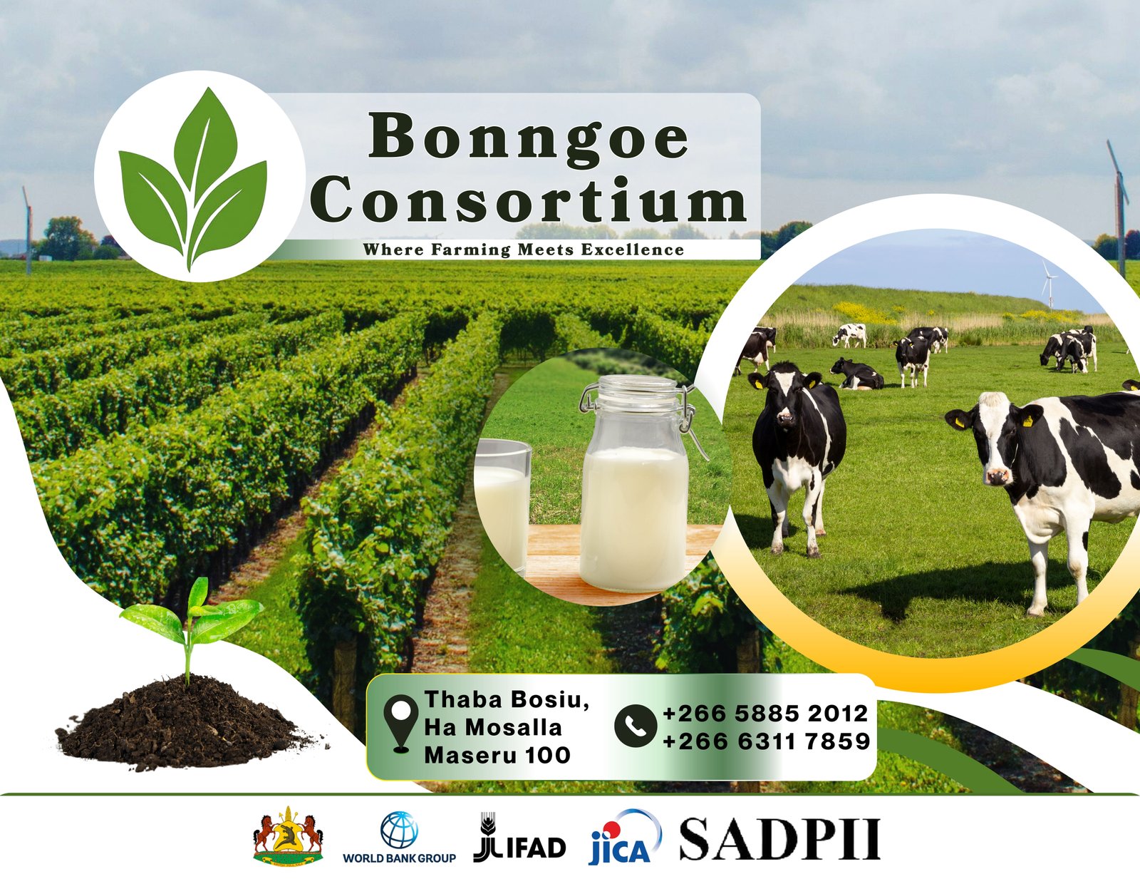Bonngoe Consortium Billboard template